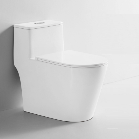 Bệt vệ sinh liền khối 813A